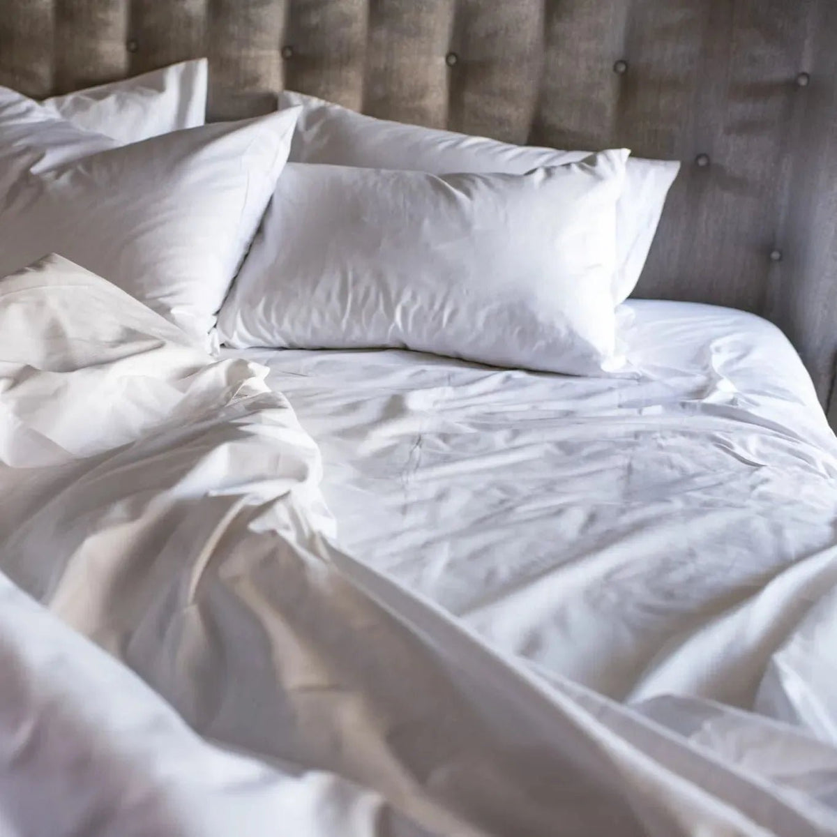 Premium Percale Bed Sheets - T-300 Blended Cotton Poly Hotel Quality - James’s Hot Deals & FindsPremium Percale Bed Sheets - T-300 Blended Cotton Poly Hotel QualityBed SheetsRifz Textiles IncJames’s Hot Deals & FindsPillowcaseWhitePremium Percale Bed Sheets - T-300 Blended Cotton Poly Hotel Quality